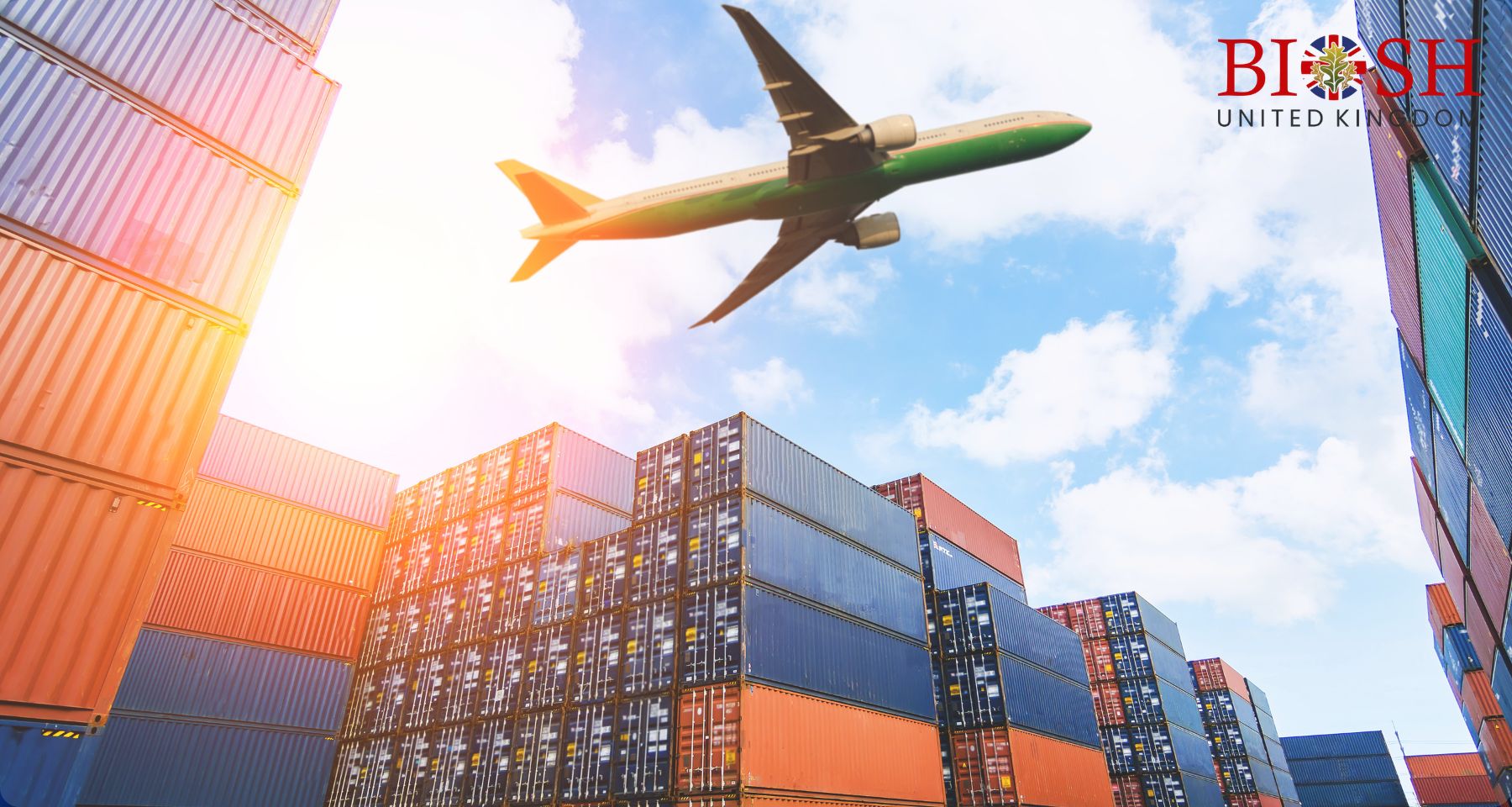 Air Transport Management and Strategy