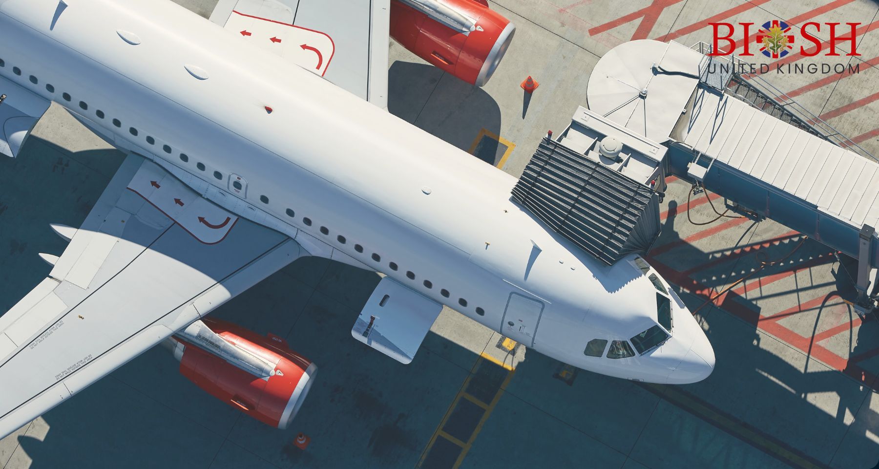Airline Management