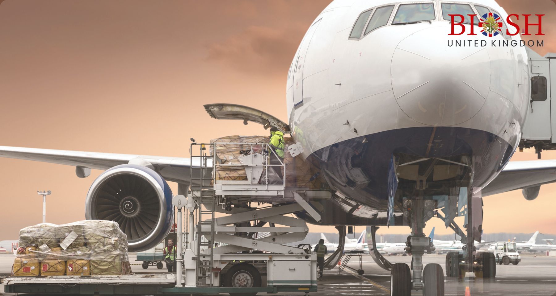 Airport Cargo