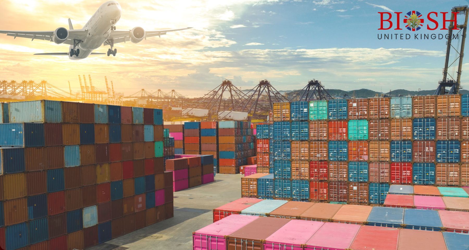 Cargo and Logistics Management