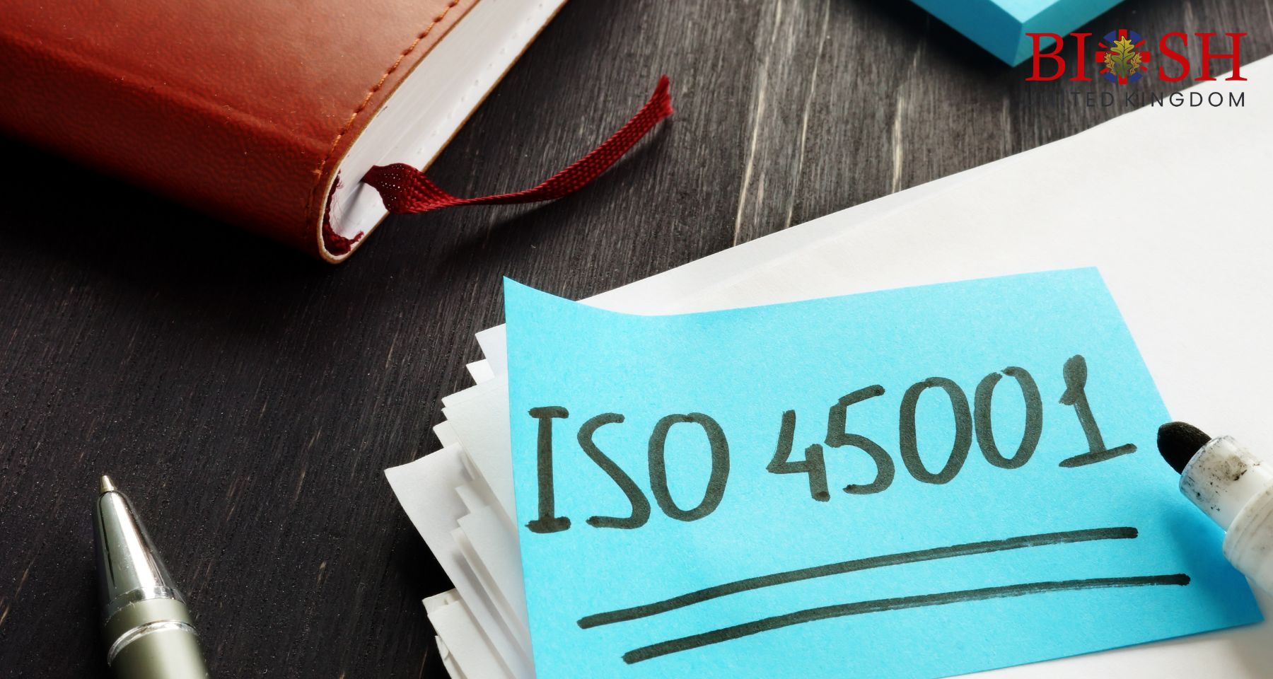 ISO 13216 ISOFIX Child Seats for Cars Internal Auditor (3)