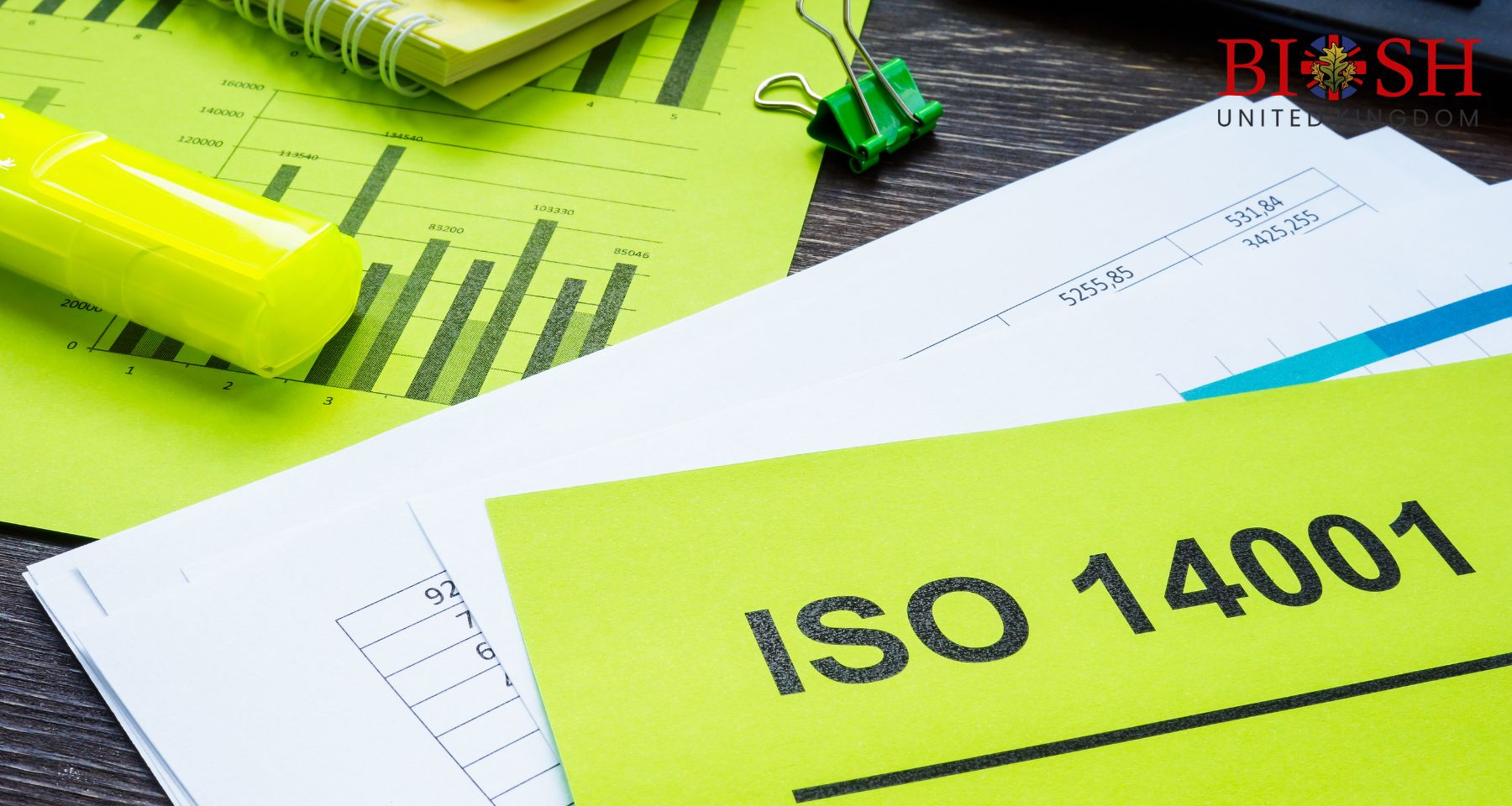 ISO 14001_2026 EMS (Environmental Management System) Transition Internal Auditor Course