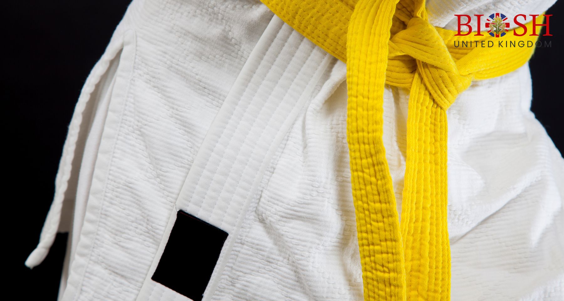 Lean Six Sigma Black Belt (2)
