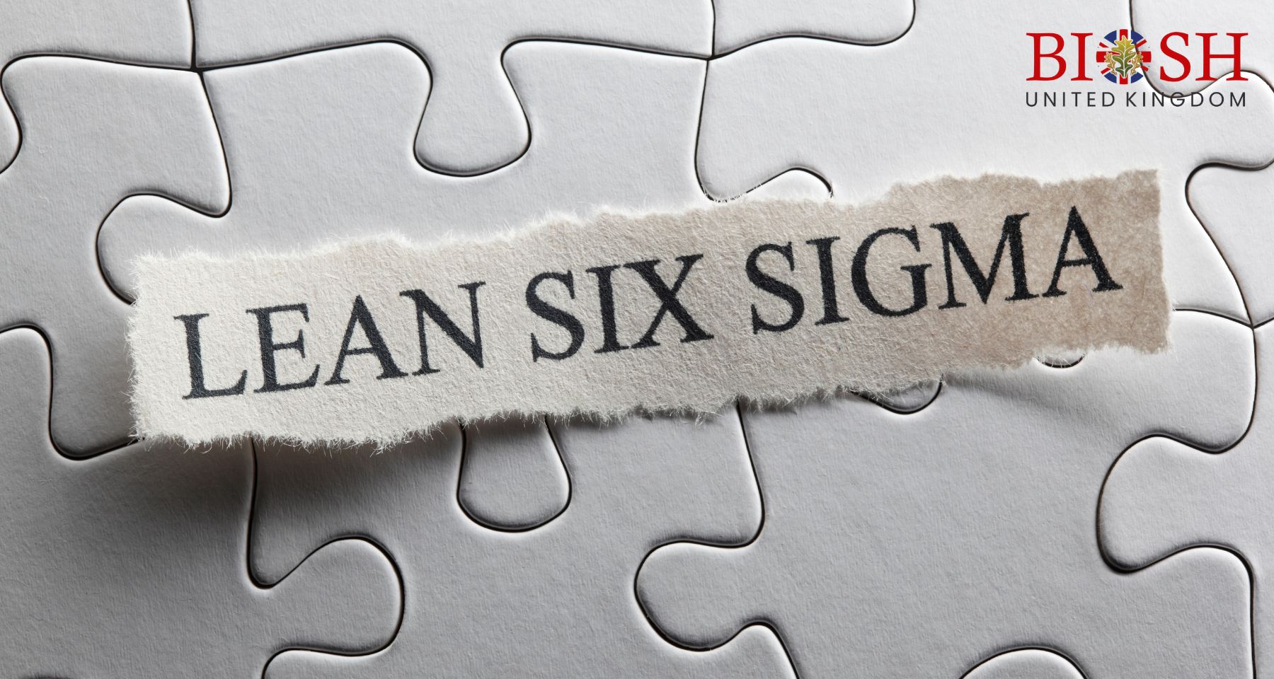 Lean Six Sigma Black Belt (4)