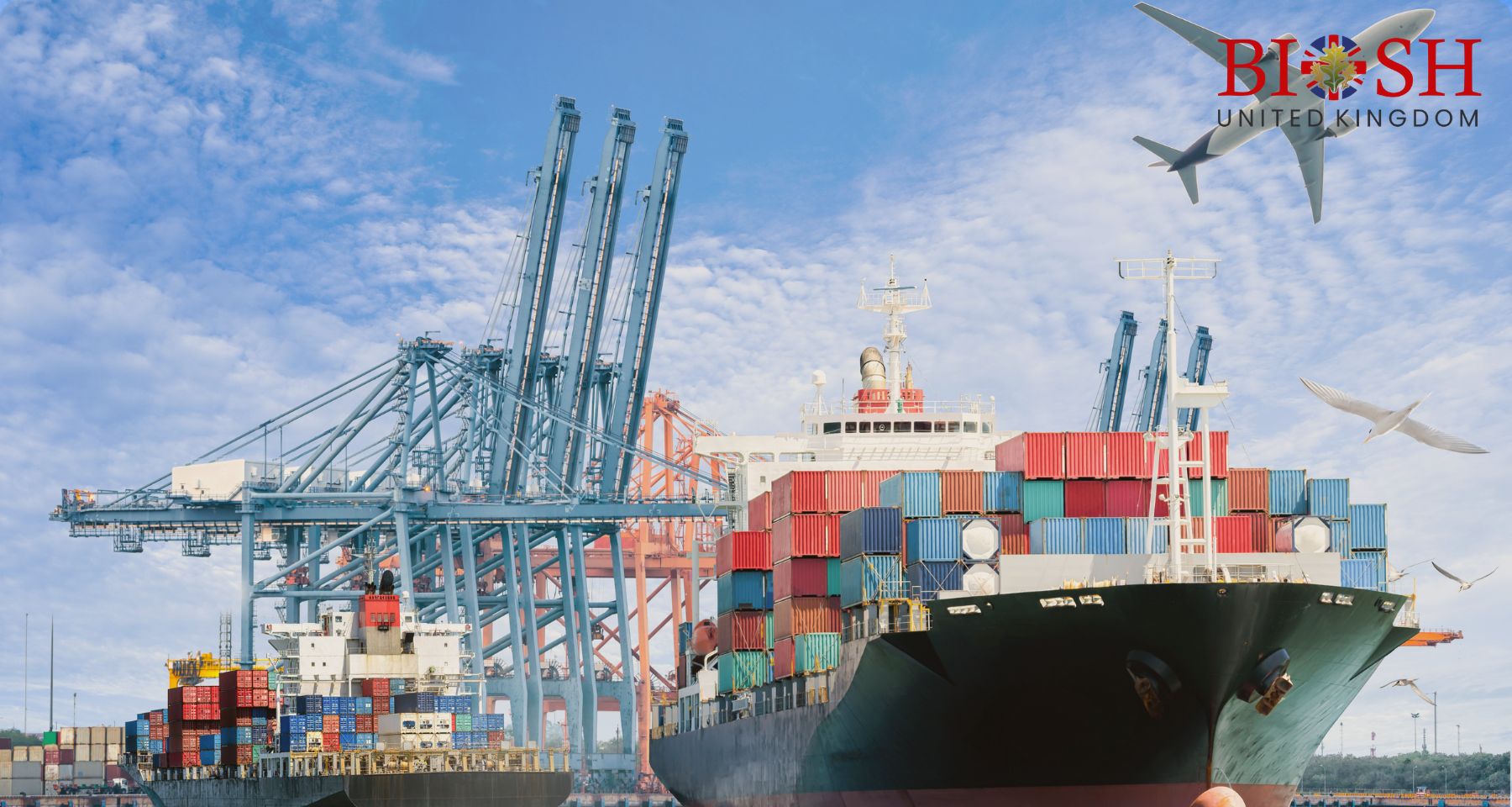 Shipping Finance